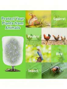 100cm X 150cm, 80cm X 80cm White Durable & Sturdy Plant Protection Net, Suitable For Fruits, Vegetables And Trees - Applicable For Strawberries, Grapes And Bird Pest Control - A - View 3