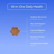D○G Is Human Daily Multivitamin For Dogs (Chicken Flavor) Human-Grade, Vet-Formulated, Made In Vermont - Hương vị gà - Xem 3