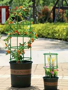 一套(4个弯支架+4根直杆),25厘米塑料植物支撑环,适用于温室、花园,半圆形固定杆,用于室内花卉和攀援植物,可调节高度的柔性盆景工具,温室园艺,室内花架立柱,可调节支架,耐候支撑,轻便种植工具,花园支撑环,温室种植者,家庭园艺 - 多色 - 查看 4