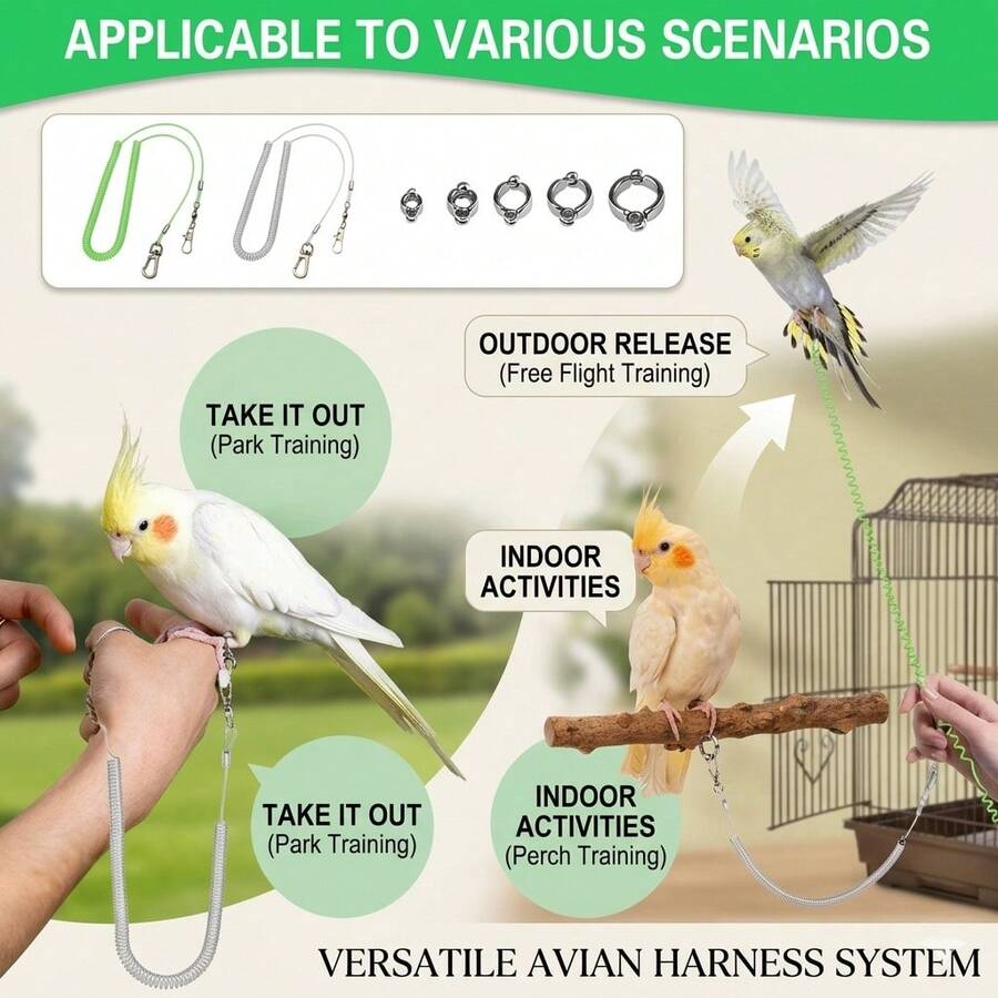 6pcs Set (1 Rope + 5 Rings) Adjustable Parrot Leash With Anti-Bite Foot Ring, 5 Sizes Suitable For Parrots, Small Parrots, Sun Conures, Macaws, Stainless Steel Flight Training Rope And Chest Harness, Suitable For Parrots, Lovebirds, Sun Conures, Macaws, Bird Breeding Supplies - A+B - View 1
