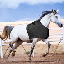 Horse Vest, Equestrian Supplies, Horse Shoulder Pads, Horse Anti-Friction Bibs, Horse Chest Protective Clothing, Equestrian Supplies - Black - View 6