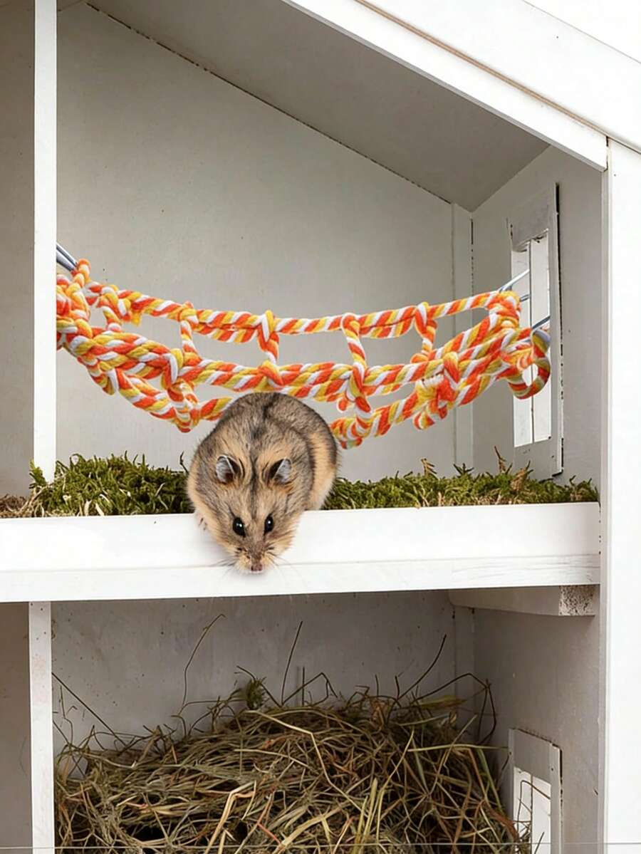 Bộ sản phẩm que gặm cho thỏ - Tre ngọt + Đan, đồ chơi gặm cho chuột hamster và chuột lang, đồ dùng gặm ăn được. - Xem 1