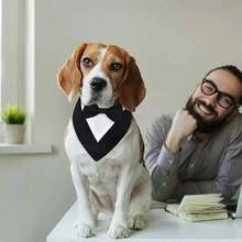1 chiếc yếm ăn cho thú cưng kiểu tuxedo kèm nơ và miếng thấm nước dãi, phụ kiện trang phục cưới cho chó. - Đen và trắng - Xem 3
