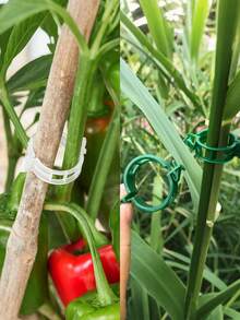 100pcs Plant Support Clips, Plastic Plant Clips, Adjustable Gardening Clips Suitable For Climbing Plants, Outdoor Grape Tomato Vines Support Clips, Reusable Clips To Keep Plants Upright, Fix Stems And Vines - A - View 4