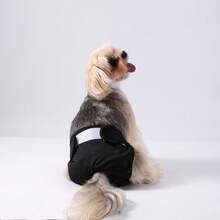 1pc Female Dog Diapers,Reusable Highly Absorbent Physiological Pants,Prevent Leakage & Harassment, Suitable For Urination Or Incontinence,For Small Dog & Puppy - Multicolor - View 9