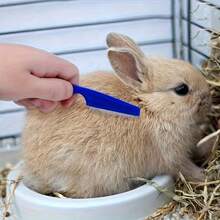 Juego de 4 piezas para el aseo de mascotas, incluye cepillo, guante de masaje para baño, herramienta para eliminar el pelo muerto, cortaúñas, adecuado para animales pequeños como conejos, cobayas, gatos, hurones - Ver 7
