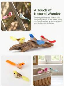 12pcs/6pcs/1pc Mini Bird Figurines Dollhouse Realistic Decoration, Handmade Mini Lifelike Birds, Colorful Artificial Bird Models Cute Animal Models Suitable For Garden, Miniature Landscape, Moss Decor, Micro Landscape, Home Decor, Landscape Designer, DIY Craft Enthusiasts - A - View 9