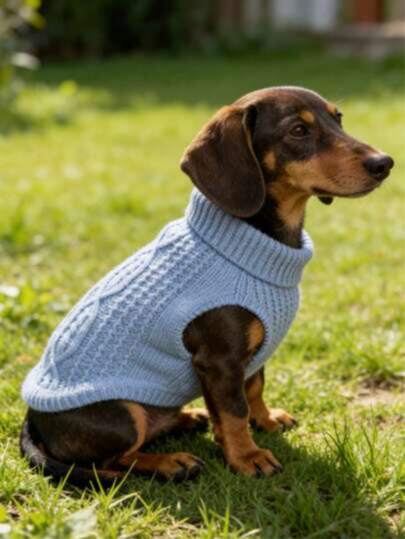 1pc Pet Sweater, Cable Knit Pullover Sweater, Extended Length Pet Sweater, Minimalist Style, Suitable For Poodle, Dachshund, Corgi, Long-Bodied Dogs, Cats, Extended Length, Customizable, Short-Legged Pets