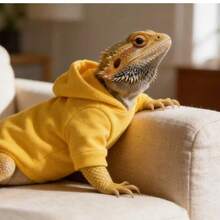 1pc Fluffy Thick Fleece Hooded Sweatshirt - Pet Apparel & Outfits For Lizards And Reptiles - Yellow - View 5