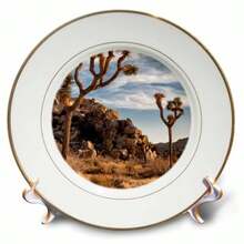 3dRose California Nacional Park-Joshua árboles en Mojave Desert Plato de Porcelana 8" - Blanco - Ver 4