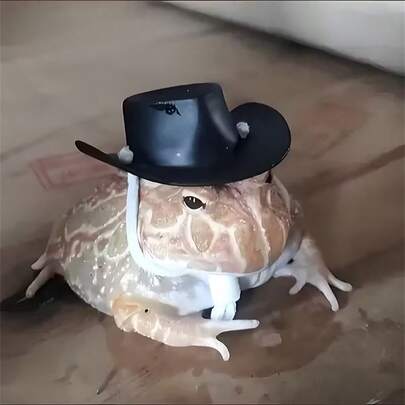 1 pieza Sombrero de vaquero del oeste adorable para mascotas | Accesorio de sombrero para hámster - Perfecto para loros, chinchillas, lagartos, osos de peluche y ranas - Accesorios de disfraz creativos