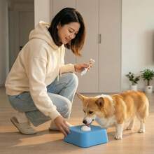 1个宠物舔食碗，防溢互动慢食碗，防漏零食碗，适用于猫狗 - 多色 - 查看 2