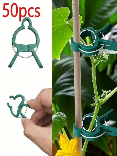 50 Kẹp đỡ cây có thể điều chỉnh – Dụng cụ hỗ trợ làm vườn thiết yếu cho cà chua, cây leo và hoa | Kẹp nhựa bền, có thể tái sử dụng, dễ lắp đặt, đảm bảo sự phát triển khỏe mạnh và khu vườn gọn gàng, xinh đẹp quanh năm.