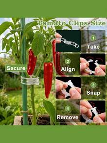 1/50pcs Plastic Vine Plant Support Clips, Suitable For Tomatoes And Other Climbing Plants, Reusable Clips Allow Tomato Vines And Vegetable Plants To Grow Upright, Promoting Healthy Plant Growth - Multicolor - View 7