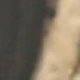 الأسود