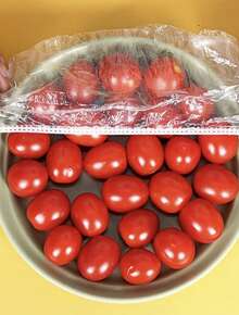 100/300/600pcs Elastic Food Covers Used For Storing Food  Vegetables And Fruits,Disposable,Multipurpose No Odor Kitchen Cling Film Dust Protection For Home, Restaurant Picnic - All Plate Sizes Picnic Essentials|Decorative Wraps|Reusable Plastic Wrap, - View 5