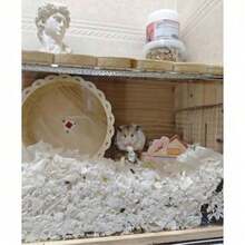 Hamster Paper Cotton, Small Animal Nest Cage Pad Material, Fluffy Pad For Gerbil, Guinea Pig, Soft And Breathable, Warm And Absorbent (Warm Tip: 4 Random Colors) - Multicolor - View 7