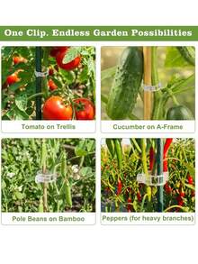 1/50pcs Plastic Vine Plant Support Clips, Suitable For Tomatoes And Other Climbing Plants, Reusable Clips Allow Tomato Vines And Vegetable Plants To Grow Upright, Promoting Healthy Plant Growth - Multicolor - View 4