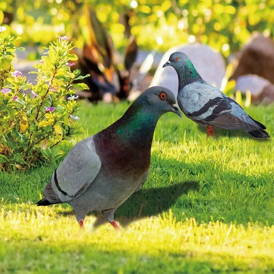 Cross-Border 2D Flat Acrylic Simulated Pigeon Signage For Outdoor Courtyards, Garden Decorations, And Garden Ground Installations. - A - View 1