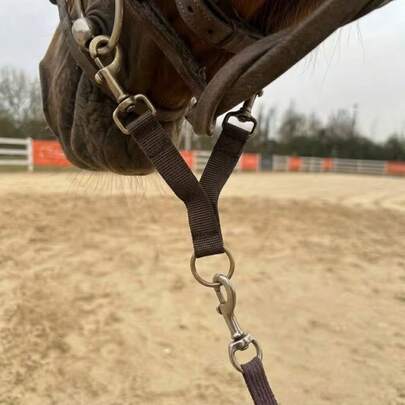 1pc Double-Ended Horse Bit Hook, Horse Lead Rope Hook, Equestrian Training Connector Rope, Horse Mouth Double-Sided Hanging Hook, Equestrian Supplies - Cattle Prod