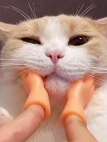 Cat Fun Toy Small Gloves Cat Finger Sleeve Mini Hand Model Silicone Small Gloves Cat Massage Tools Pet Cat Toy Gift - Multicolor - View 7