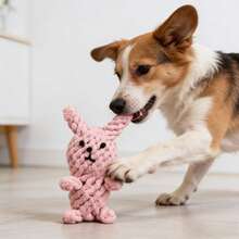 Combinación de bola de cuerda, conejo lindo y zanahoria. Cuerda tejida a mano, resistente a mordeduras y duradera. Para moler y limpiar los dientes, adecuada para perros pequeños y medianos. Fácil de agarrar e interactuar, previene la destrucción, alivia la ansiedad por separación. Colores adorables que aportan sanación y compañía para las mascotas. - Multicolor - Ver 6