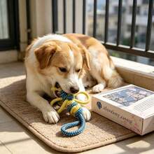 1PC Multi-Color Dog Rope Toy, Interactive Knot Chew Toy For Aggressive Chewers, Durable Teeth Cleaning Tug Toy, Cute Animal Shaped Pet Toy For Small Medium Large Dogs, Puppy Teething Toy For Home Play - Multicolor - View 6