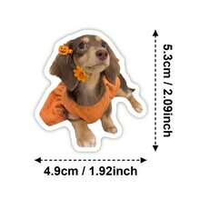 50pcs New Cute Dachshund Stickers, Realistic Daily Dog Pattern, Waterproof Stickers - 50 Cute Dachshund Stickers - View 3