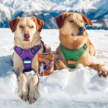 2pcs Reflective Safety Patches, Hook And Loop Reflective Patches For Night Sports, Labor Wear, Rain Jackets, Hikers, Dog Tactical Undershirts, Firefighter Rescue, Hunting Tactical Bag Accessories - Multicolor - View 7