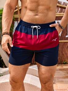 Men's Summer Beach Shorts Quick-Dry Triangle Lined Swim Trunks For Pool Wear - Multicolor - View 11