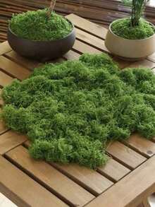 10/30/200g Artificial Moss Decor - Realistic Greenery - Packaging - Suitable For Micro Landscapes, Window Decoration And Design Layout, Bionic Moss, Green Moss Micro Landscape Decoration, DIY Green Plant Lawn Potted Plant Landscape Decoration, Outdoor Garden Yard Decoration - Multicolor - View 23