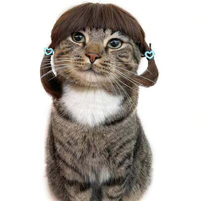 1pc Pet Cat Dog Wig, Halloween Pet Accessories, Curly/Straight Synthetic Brown Wig For Cat Dog Costume
