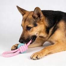 Combinación de bola de cuerda, conejo lindo y zanahoria. Cuerda tejida a mano, resistente a mordeduras y duradera. Para moler y limpiar los dientes, adecuada para perros pequeños y medianos. Fácil de agarrar e interactuar, previene la destrucción, alivia la ansiedad por separación. Colores adorables que aportan sanación y compañía para las mascotas. - Multicolor - Ver 4