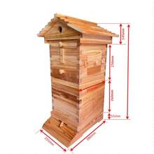 10 X Auto Flowing Honey MIni Hive Beehive Frames+Bee Brood Super Wood Box House - 預設 - 查看 9