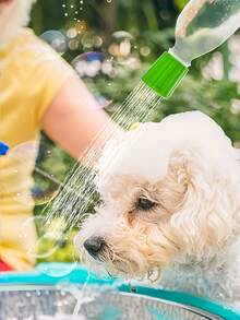 1 vòi sen cầm tay cho mèo/chó - Vòi sen ngoài trời, phụ kiện tắm cắm trại - Đầu vòi phun sương - Đồ dùng tắm cho thú cưng - Thích hợp cho mục đích vệ sinh khi đi bộ đường dài, cắm trại ngoài trời. - Nhiều màu - Xem 3