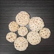 Đồ chơi tìm kiếm và gặm nhấm cho chim, kích thước 2,36 inch, thích hợp cho các loài chim nhỏ và vẹt. - Xem 17