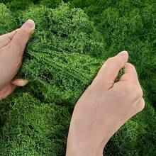 10/30/200g Artificial Moss Decor - Realistic Greenery - Packaging - Suitable For Micro Landscapes, Window Decoration And Design Layout, Bionic Moss, Green Moss Micro Landscape Decoration, DIY Green Plant Lawn Potted Plant Landscape Decoration, Outdoor Garden Yard Decoration - Multicolor - View 13