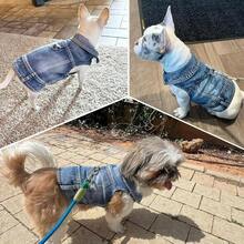 1 Áo khoác có khóa kéo hai chân mới, chất liệu giả denim, thích hợp cho mùa xuân và mùa thu, dành cho chó Bichon, Teddy, Pomeranian và các giống chó nhỏ khác. - Màu xanh lam - Xem 5