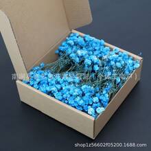 藍色50pc