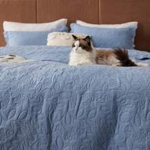 Bedsure Quilts Pre-Washed Cloud-Like Bedding, All-Season Lightweight Cooling Comforter Bedspread Blanket , Soft Gift For Graduation/Back To School, College Dorm/Apartment Essentials, For Room Home Bedroom Decor, Dorm Decor, Fall Decor - Mountain Spring Blue - View 6