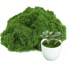 10/30/200g Artificial Moss Decor - Realistic Greenery - Packaging - Suitable For Micro Landscapes, Window Decoration And Design Layout, Bionic Moss, Green Moss Micro Landscape Decoration, DIY Green Plant Lawn Potted Plant Landscape Decoration, Outdoor Garden Yard Decoration - Multicolor - View 21