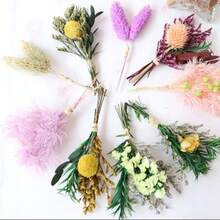 Mini Trockenblumen Set mit 6 Stück - Weiße Vergissmeinnicht - Kleine Getrocknete Blumen für DIY und Dekoration-Partyzubehör-Set - Übersicht 4