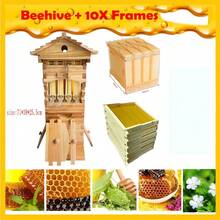10 X Auto Flowing Honey MIni Hive Beehive Frames+Bee Brood Super Wood Box House - 預設 - 查看 12