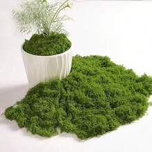 10/30/200g Artificial Moss Decor - Realistic Greenery - Packaging - Suitable For Micro Landscapes, Window Decoration And Design Layout, Bionic Moss, Green Moss Micro Landscape Decoration, DIY Green Plant Lawn Potted Plant Landscape Decoration, Outdoor Garden Yard Decoration - Multicolor - View 15