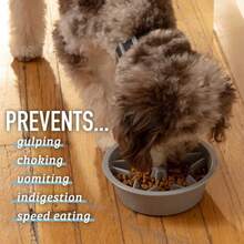 Slow Feeder Dog Bowls (2 Cup) Puzzle Dog Food Bowl - Fits Into Elevated Pet Feeders - Slow Eating For Large, Medium & Small Sized Breeds - Gray - 1 - 查看 4