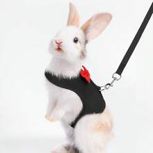 Supet 1入組透氣兔子背帶和1条皮带適用於小動物適用於戶外 - 黑色 - 查看 9