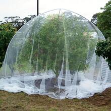 1 cái - Tấm lưới bảo vệ vườn kích thước 3m x 10m, lưới siêu mịn, dùng cho luống cây trồng trên cao, nhà kính, chống muỗi, lưới siêu mịn màu trắng cỡ lớn - Lý tưởng để bảo vệ cây ăn quả, rau củ và việt quất, lưới làm vườn bảo vệ cây trồng. - nhiều màu - Xem 8
