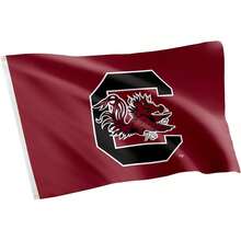 Desert Cactus University Of South Carolina USC Flag - 3 X 5 Feet Fightin Gamecocks Banner, IndoorOutdoor Durable Fabric, 100% Polyester Design (Style 1) - A - Xem 2