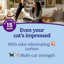 Cat Litter - 1 - View 3