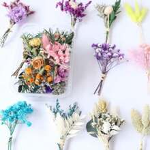 Mini Trockenblumen Set mit 6 Stück - Weiße Vergissmeinnicht - Kleine Getrocknete Blumen für DIY und Dekoration-Partyzubehör-Set - Übersicht 8